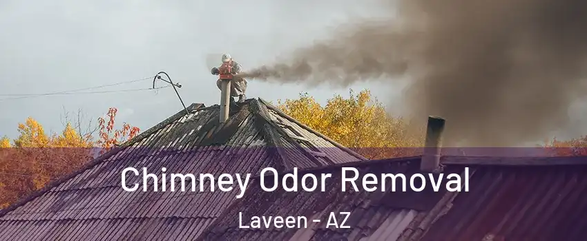 Chimney Odor Removal Laveen - AZ