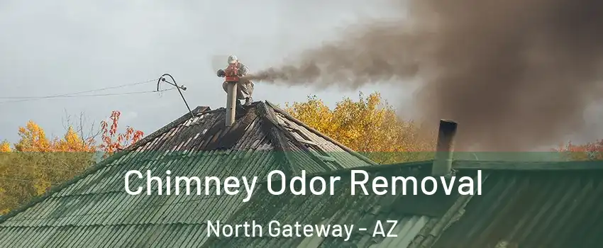 Chimney Odor Removal North Gateway - AZ