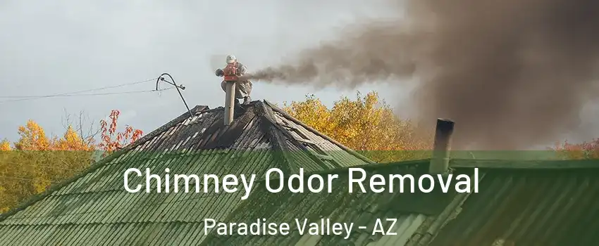 Chimney Odor Removal Paradise Valley - AZ