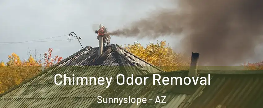 Chimney Odor Removal Sunnyslope - AZ