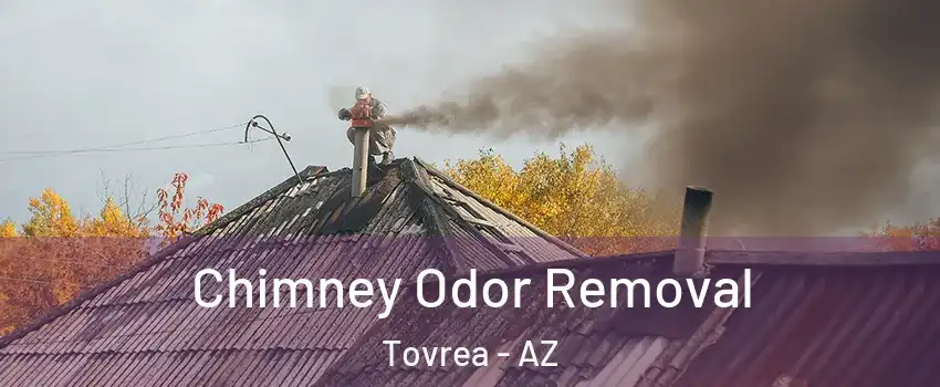 Chimney Odor Removal Tovrea - AZ