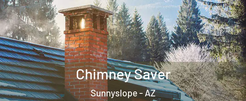 Chimney Saver Sunnyslope - AZ