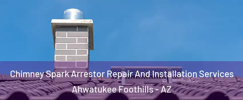 Chimney Spark Arrestor Repair And Installation Services Ahwatukee Foothills - AZ