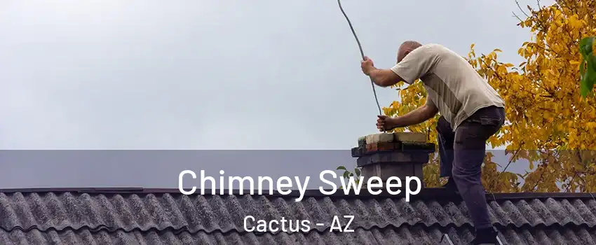 Chimney Sweep Cactus - AZ