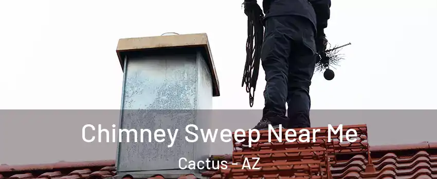 Chimney Sweep Near Me Cactus - AZ