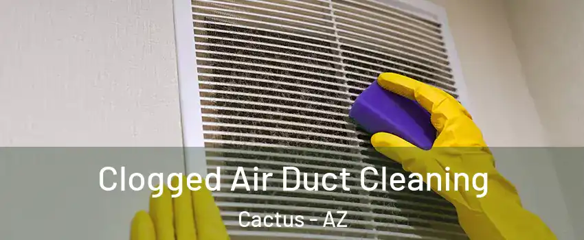 Clogged Air Duct Cleaning Cactus - AZ