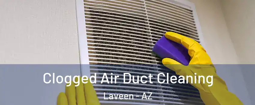 Clogged Air Duct Cleaning Laveen - AZ