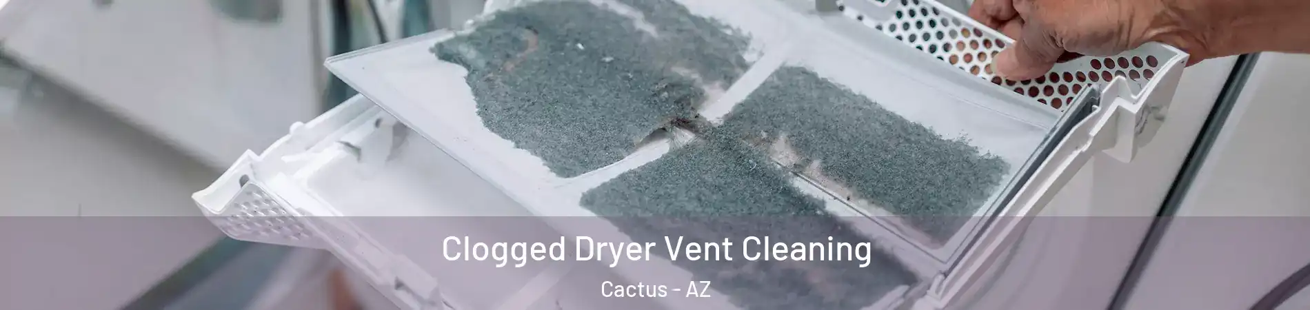 Clogged Dryer Vent Cleaning Cactus - AZ