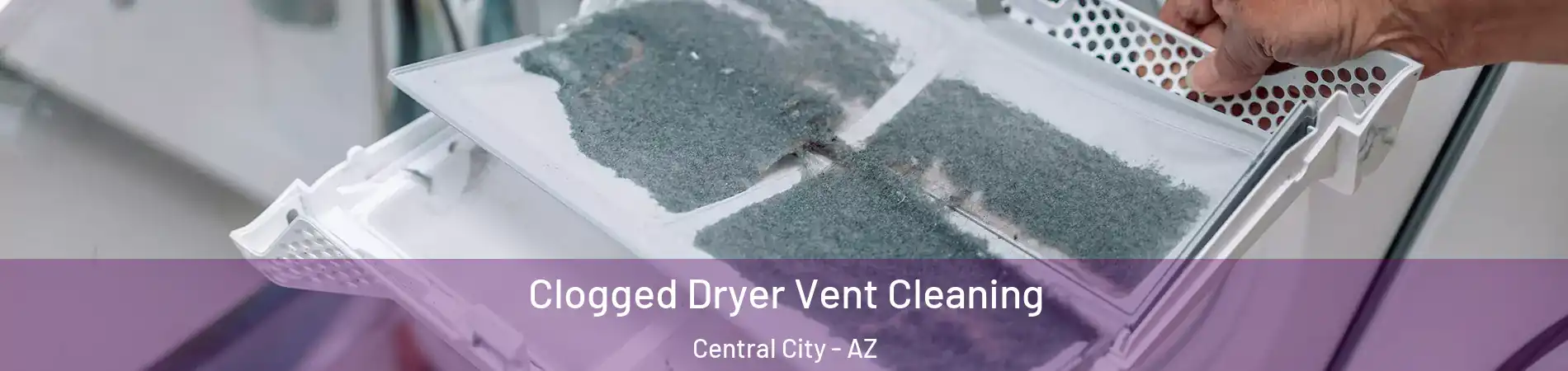 Clogged Dryer Vent Cleaning Central City - AZ