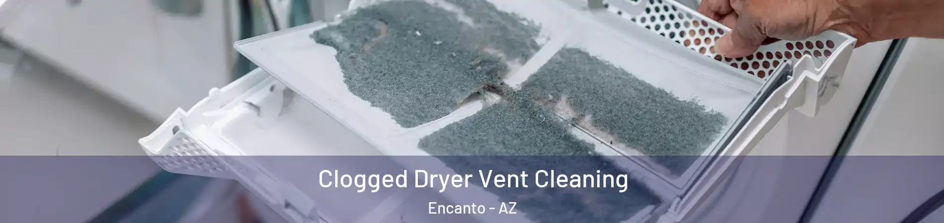 Clogged Dryer Vent Cleaning Encanto - AZ