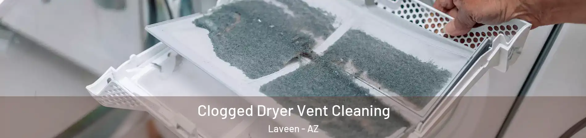 Clogged Dryer Vent Cleaning Laveen - AZ