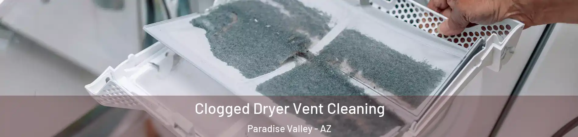 Clogged Dryer Vent Cleaning Paradise Valley - AZ