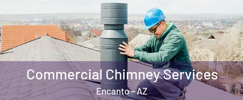 Commercial Chimney Services Encanto - AZ