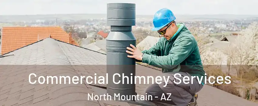 Commercial Chimney Services North Mountain - AZ