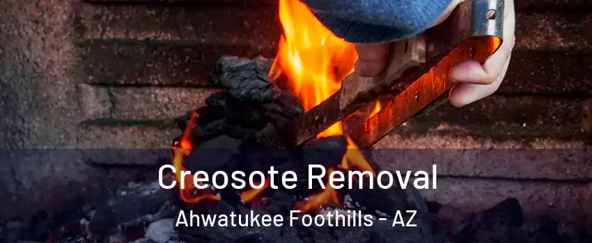 Creosote Removal Ahwatukee Foothills - AZ