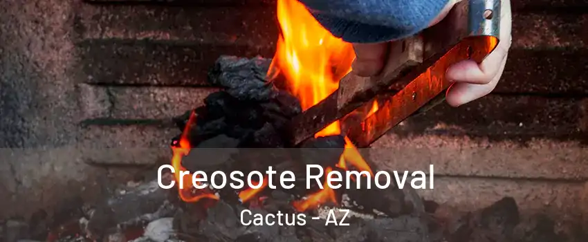 Creosote Removal Cactus - AZ