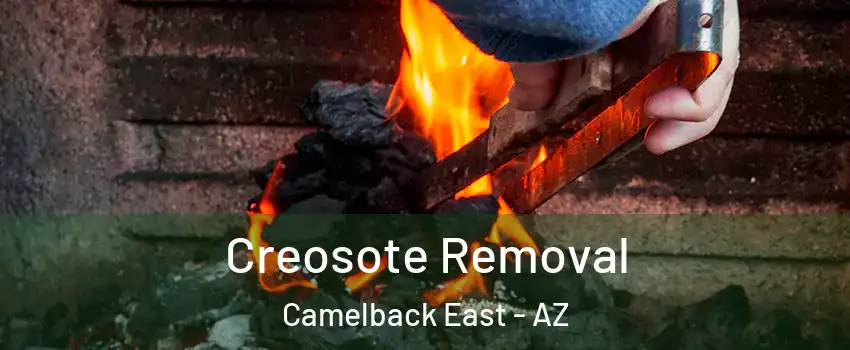 Creosote Removal Camelback East - AZ