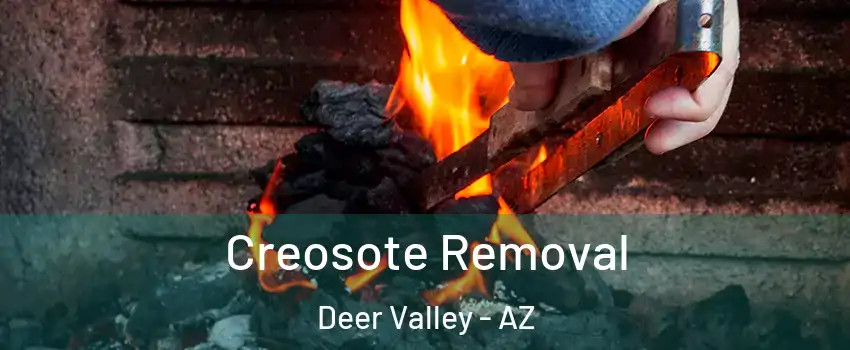 Creosote Removal Deer Valley - AZ