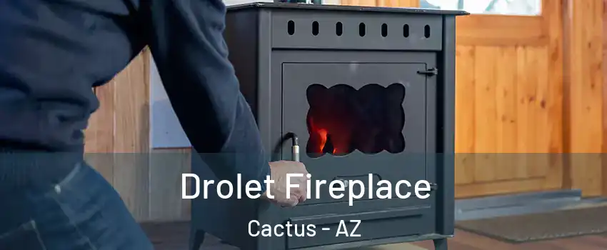 Drolet Fireplace Cactus - AZ