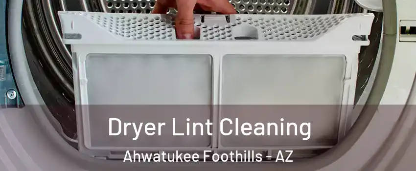 Dryer Lint Cleaning Ahwatukee Foothills - AZ