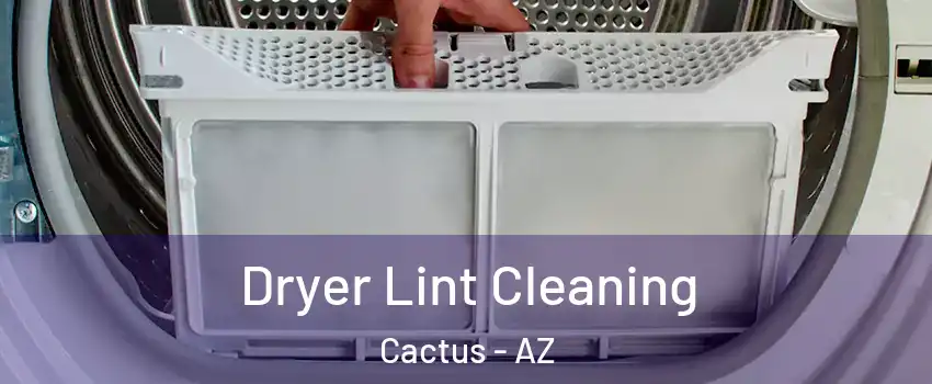 Dryer Lint Cleaning Cactus - AZ