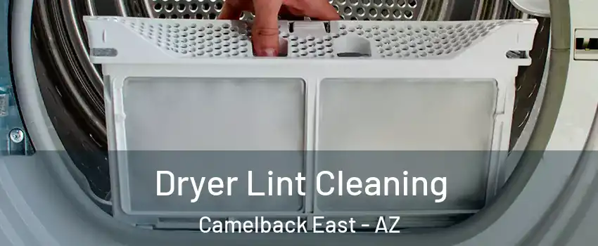 Dryer Lint Cleaning Camelback East - AZ