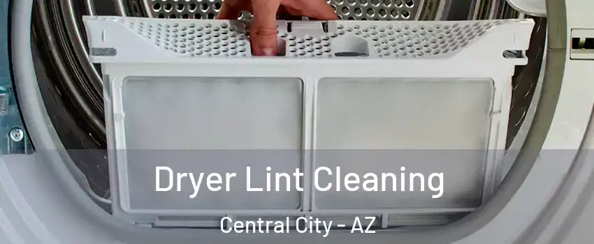 Dryer Lint Cleaning Central City - AZ