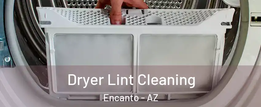 Dryer Lint Cleaning Encanto - AZ