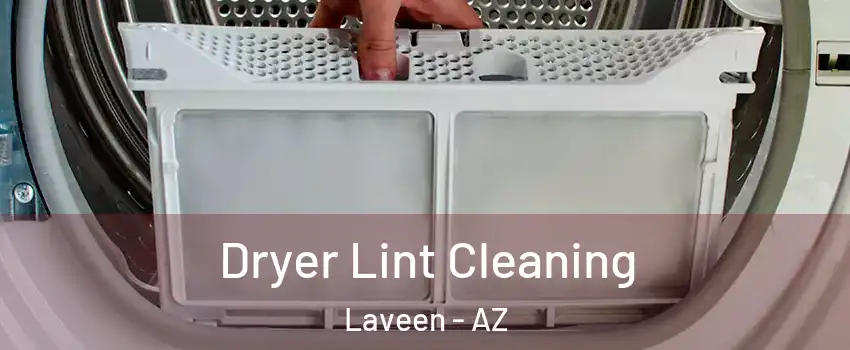 Dryer Lint Cleaning Laveen - AZ