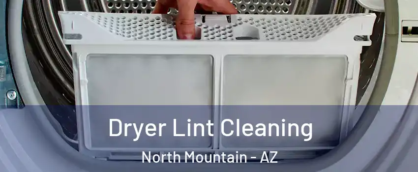 Dryer Lint Cleaning North Mountain - AZ