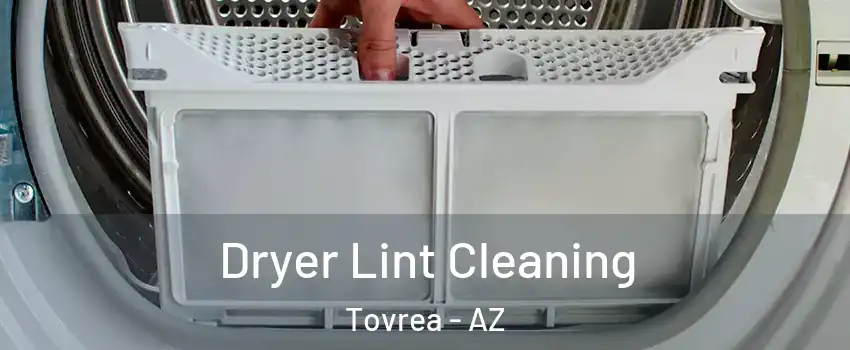 Dryer Lint Cleaning Tovrea - AZ