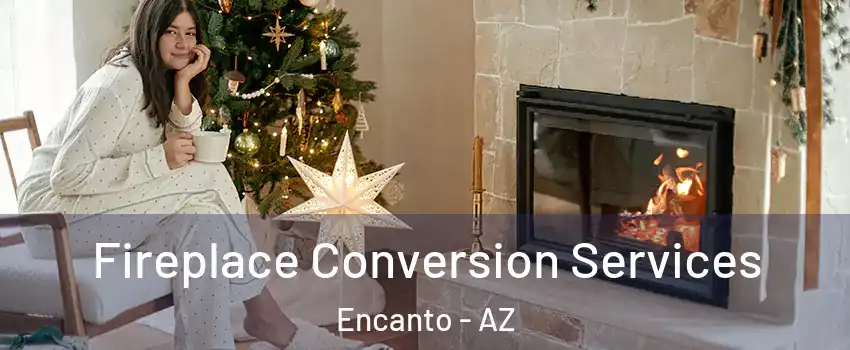 Fireplace Conversion Services Encanto - AZ