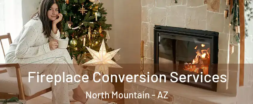 Fireplace Conversion Services North Mountain - AZ