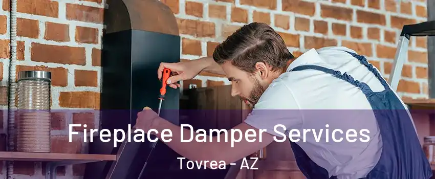 Fireplace Damper Services Tovrea - AZ