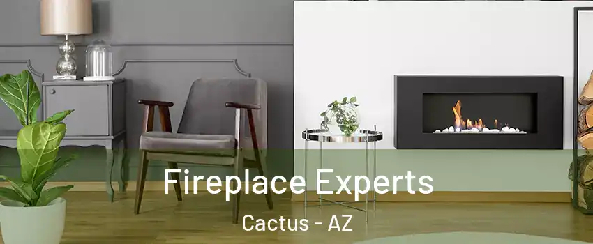 Fireplace Experts Cactus - AZ