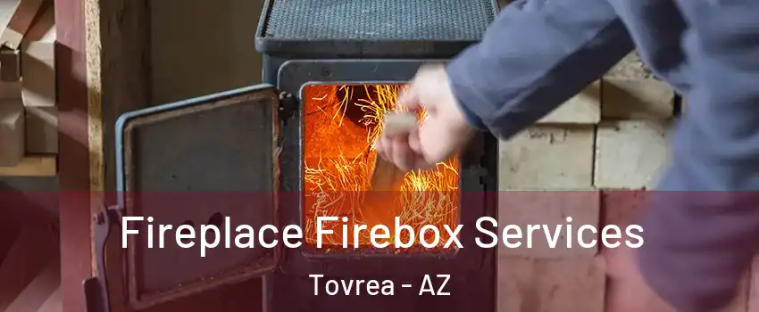 Fireplace Firebox Services Tovrea - AZ