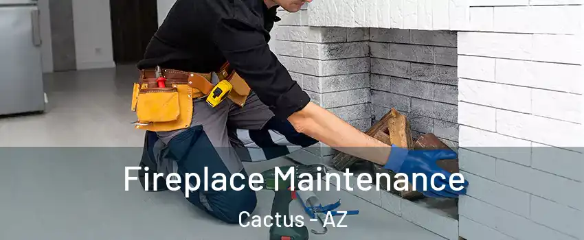 Fireplace Maintenance Cactus - AZ