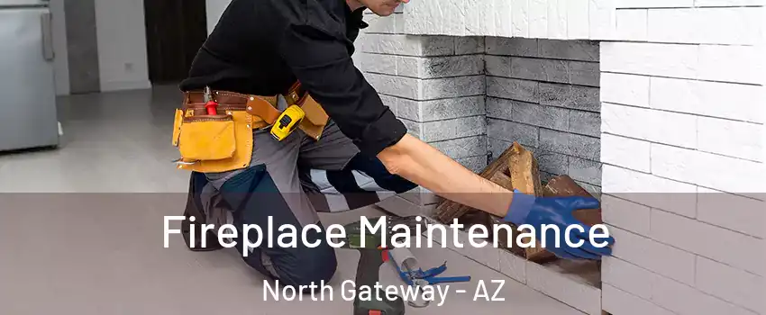 Fireplace Maintenance North Gateway - AZ