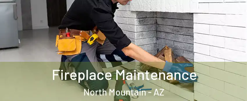 Fireplace Maintenance North Mountain - AZ