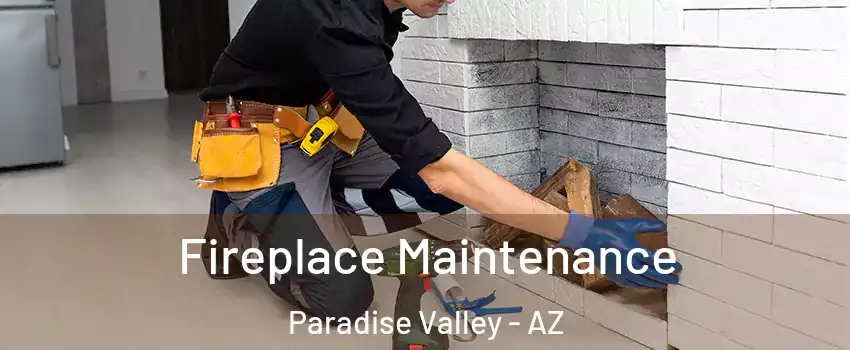 Fireplace Maintenance Paradise Valley - AZ