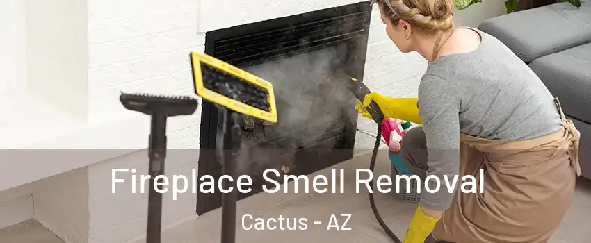 Fireplace Smell Removal Cactus - AZ