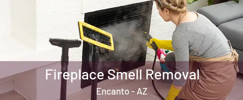 Fireplace Smell Removal Encanto - AZ