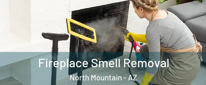 Fireplace Smell Removal North Mountain - AZ