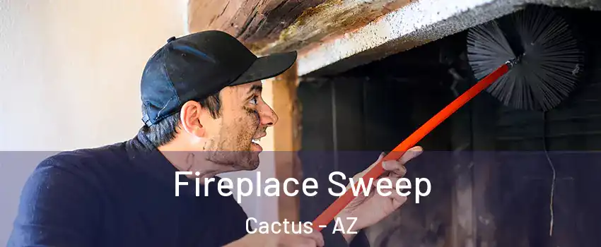 Fireplace Sweep Cactus - AZ