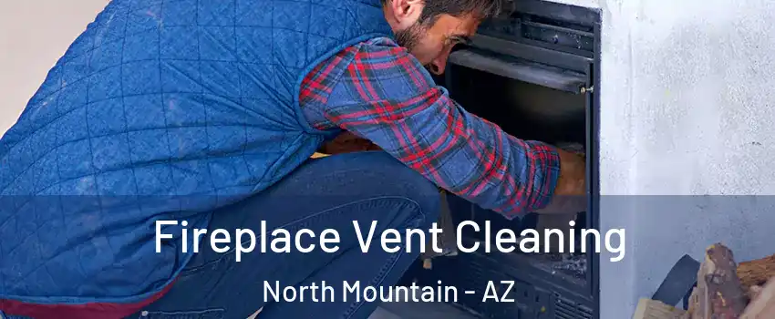 Fireplace Vent Cleaning North Mountain - AZ