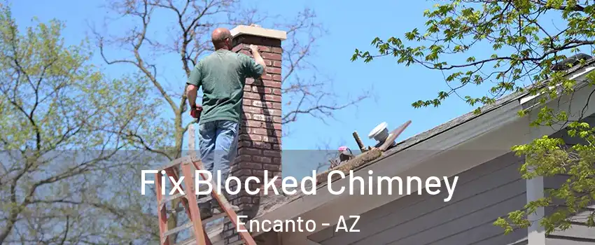 Fix Blocked Chimney Encanto - AZ