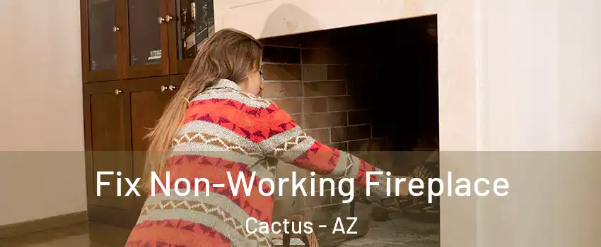 Fix Non-Working Fireplace Cactus - AZ