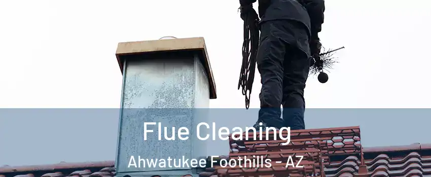 Flue Cleaning Ahwatukee Foothills - AZ