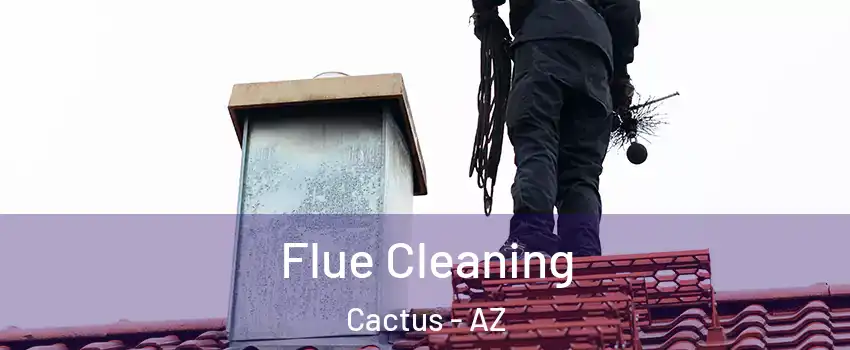 Flue Cleaning Cactus - AZ