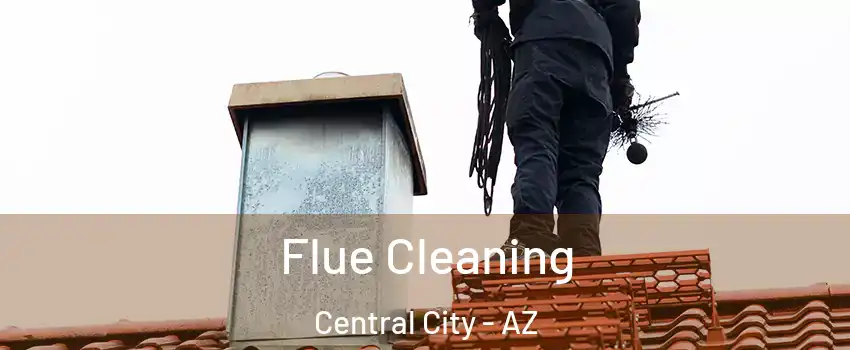 Flue Cleaning Central City - AZ